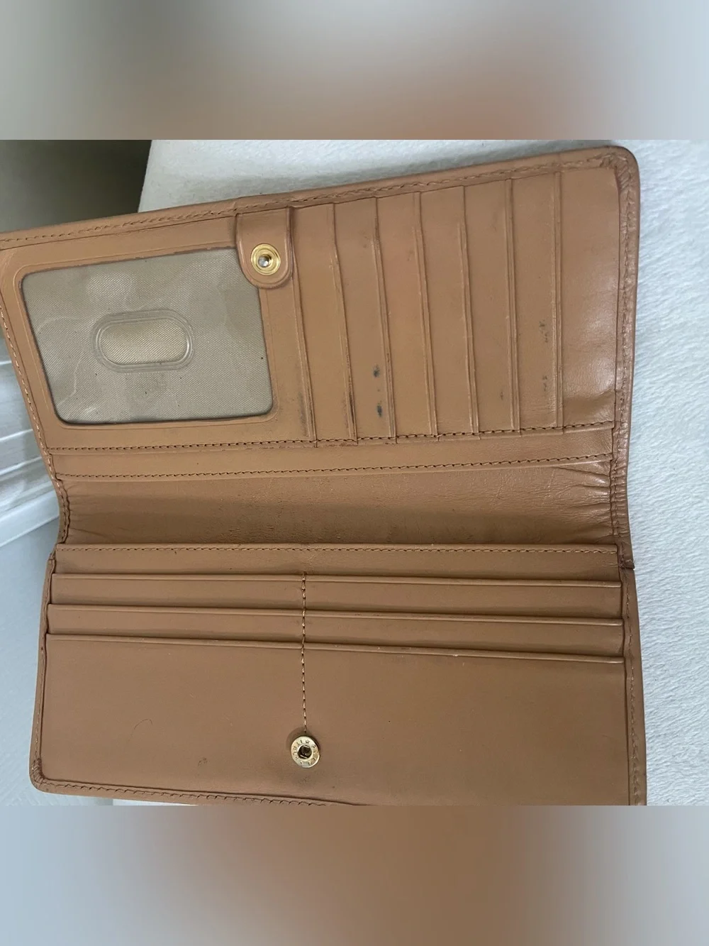 Brahmin elegant continental